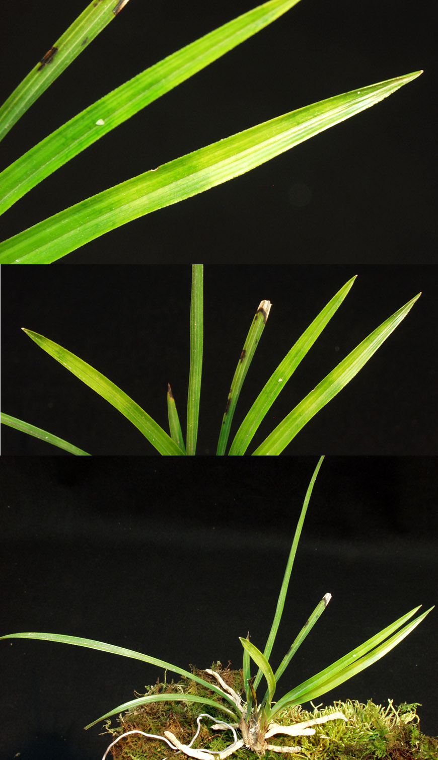 ������ ū������ �� �� �ֽ��ϴ�.