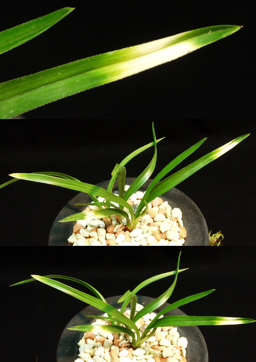 ������ ū������ �� �� �ֽ��ϴ�.