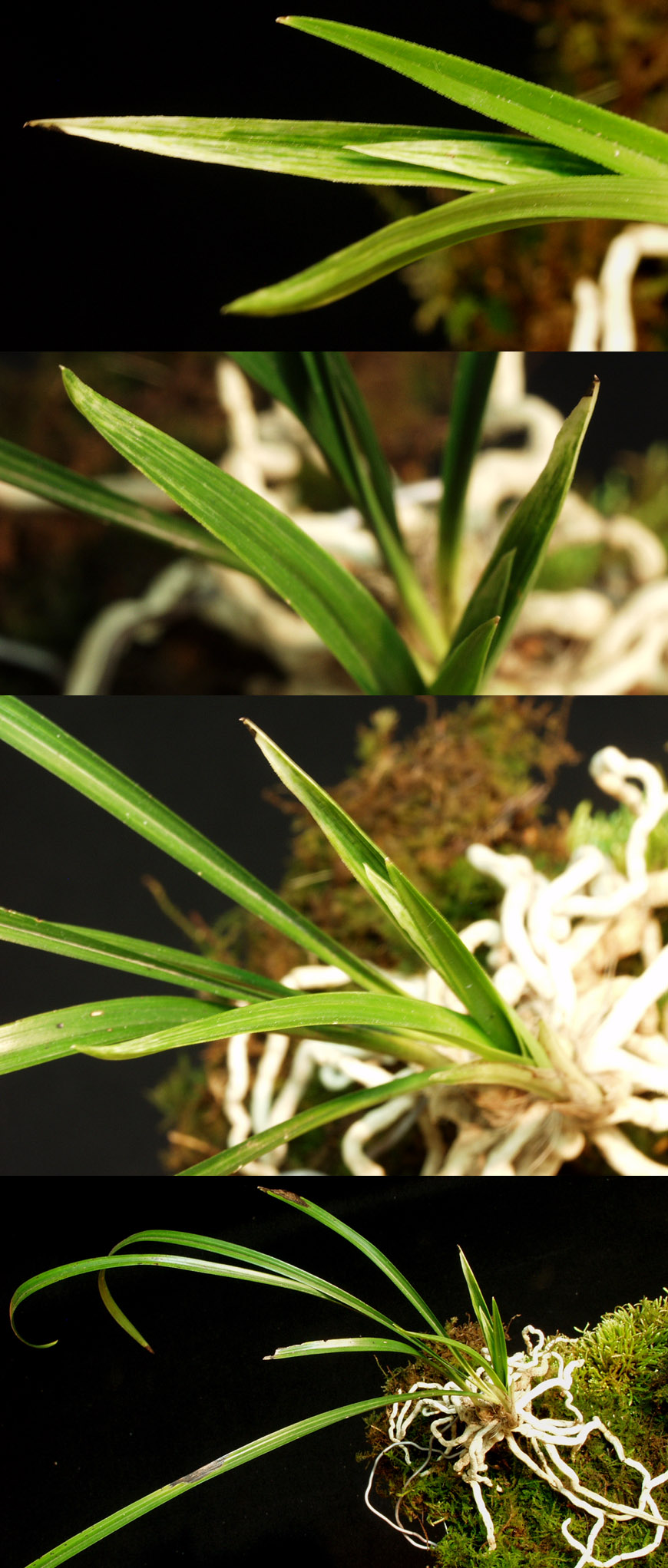 ������ ū������ �� �� �ֽ��ϴ�.