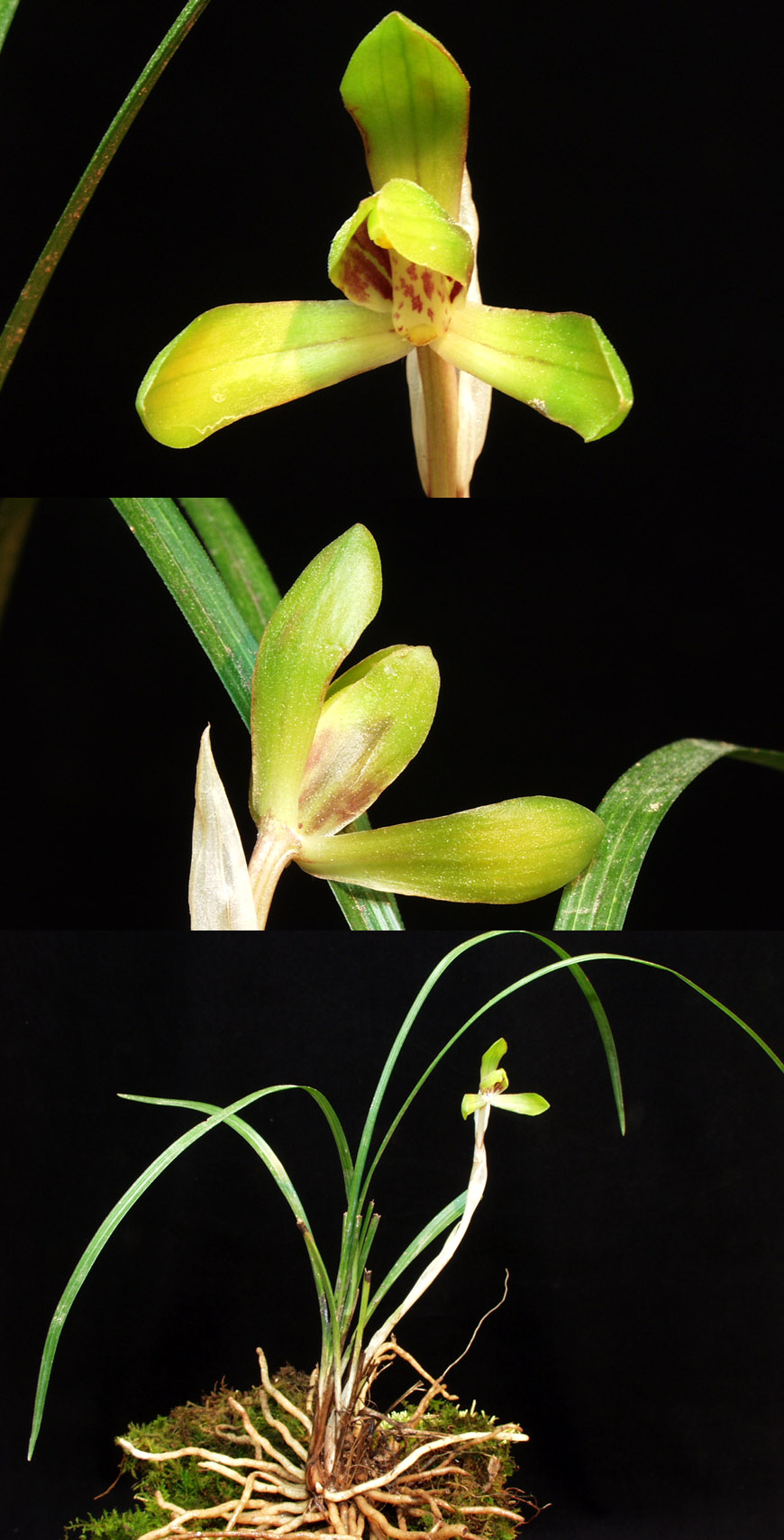 ������ ū������ �� �� �ֽ��ϴ�.