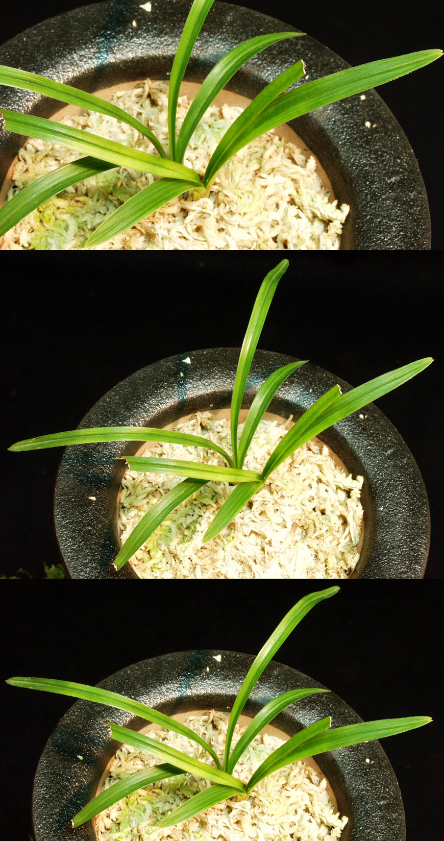 ������ ū������ �� �� �ֽ��ϴ�.