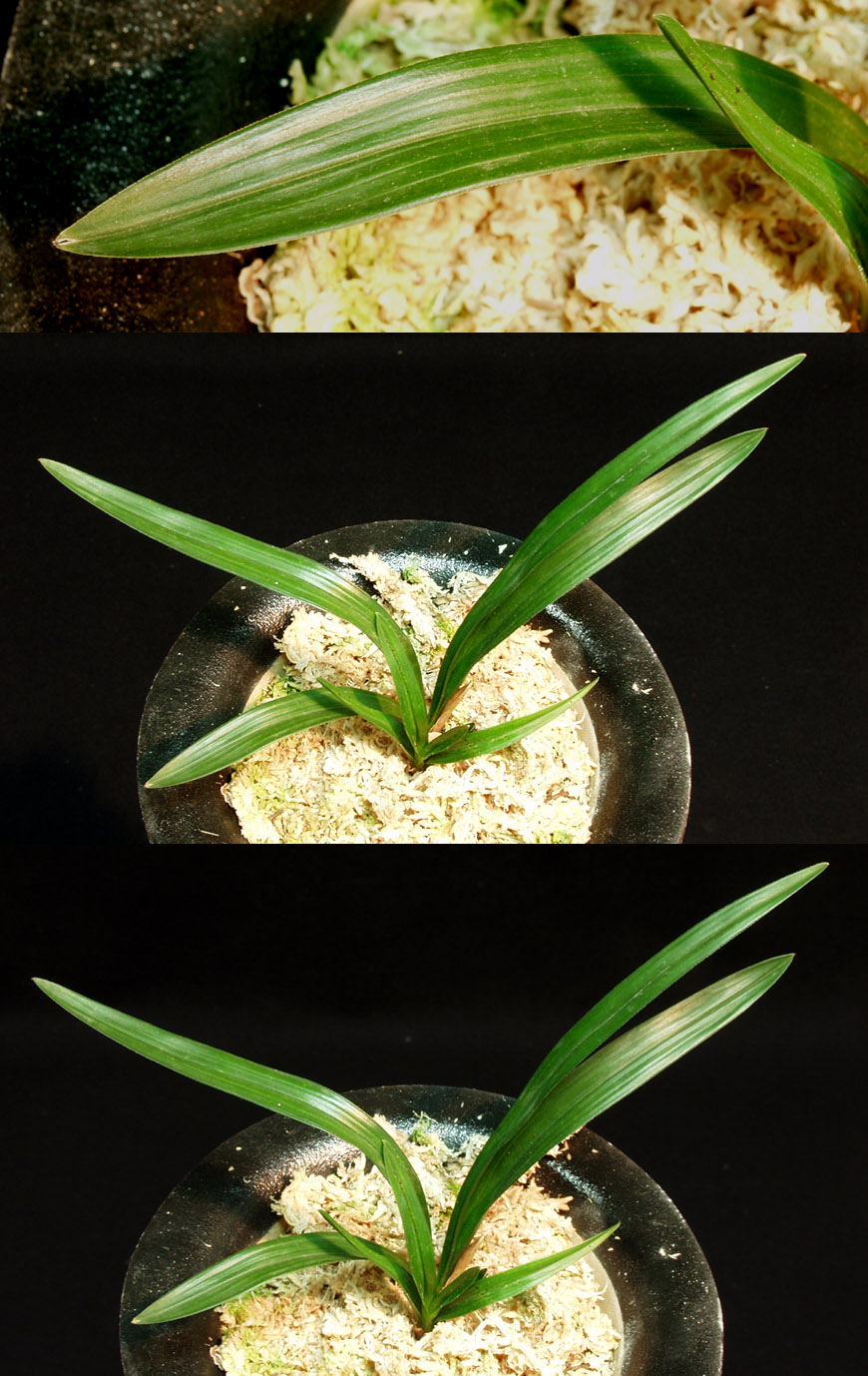 ������ ū������ �� �� �ֽ��ϴ�.