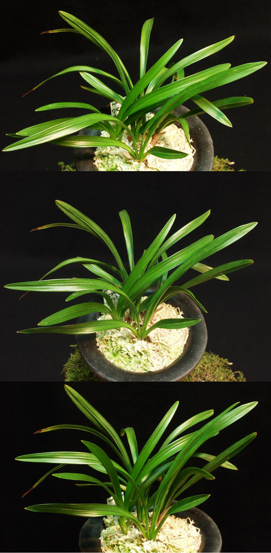 ������ ū������ �� �� �ֽ��ϴ�.