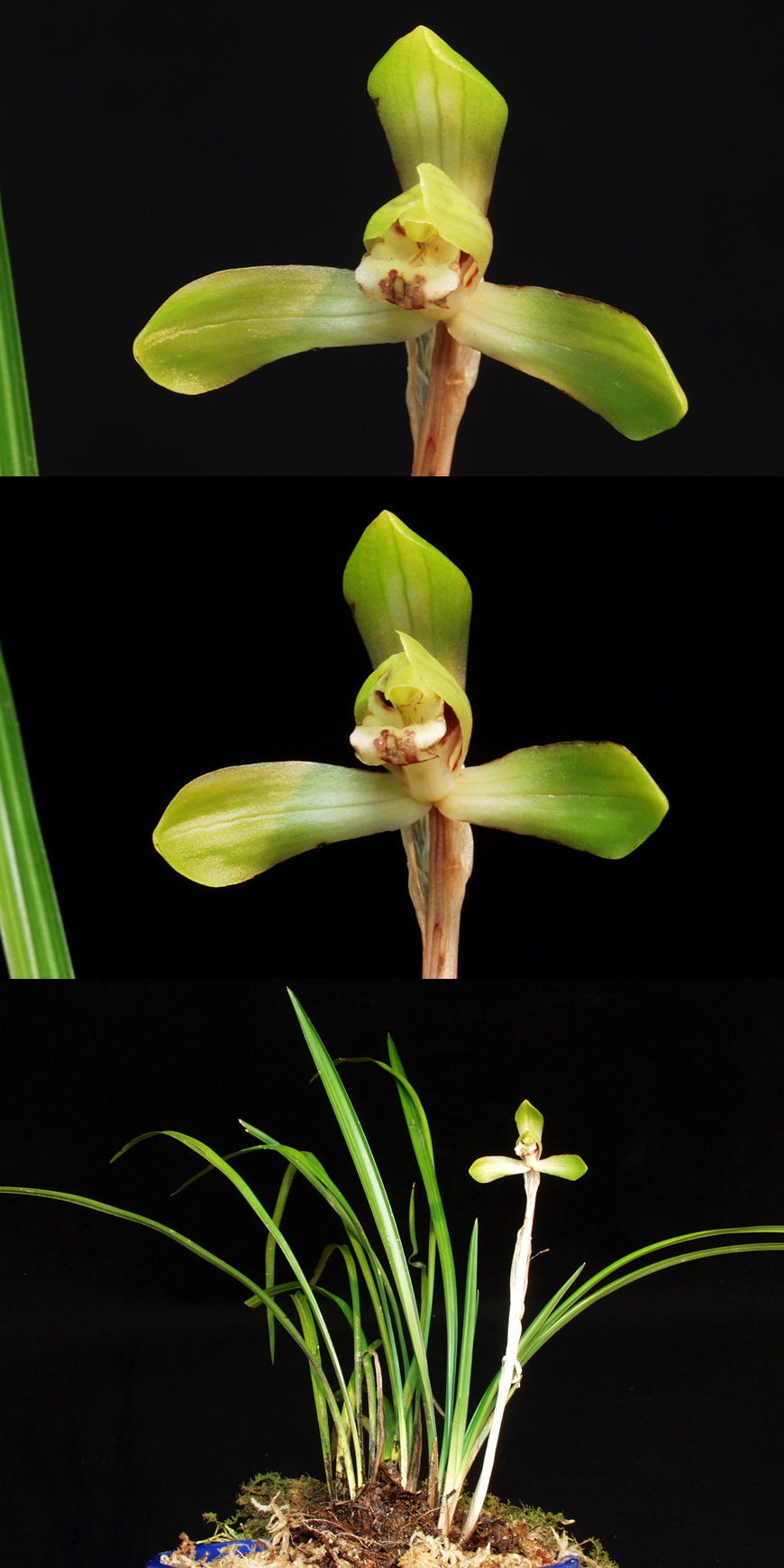 ������ ū������ �� �� �ֽ��ϴ�.