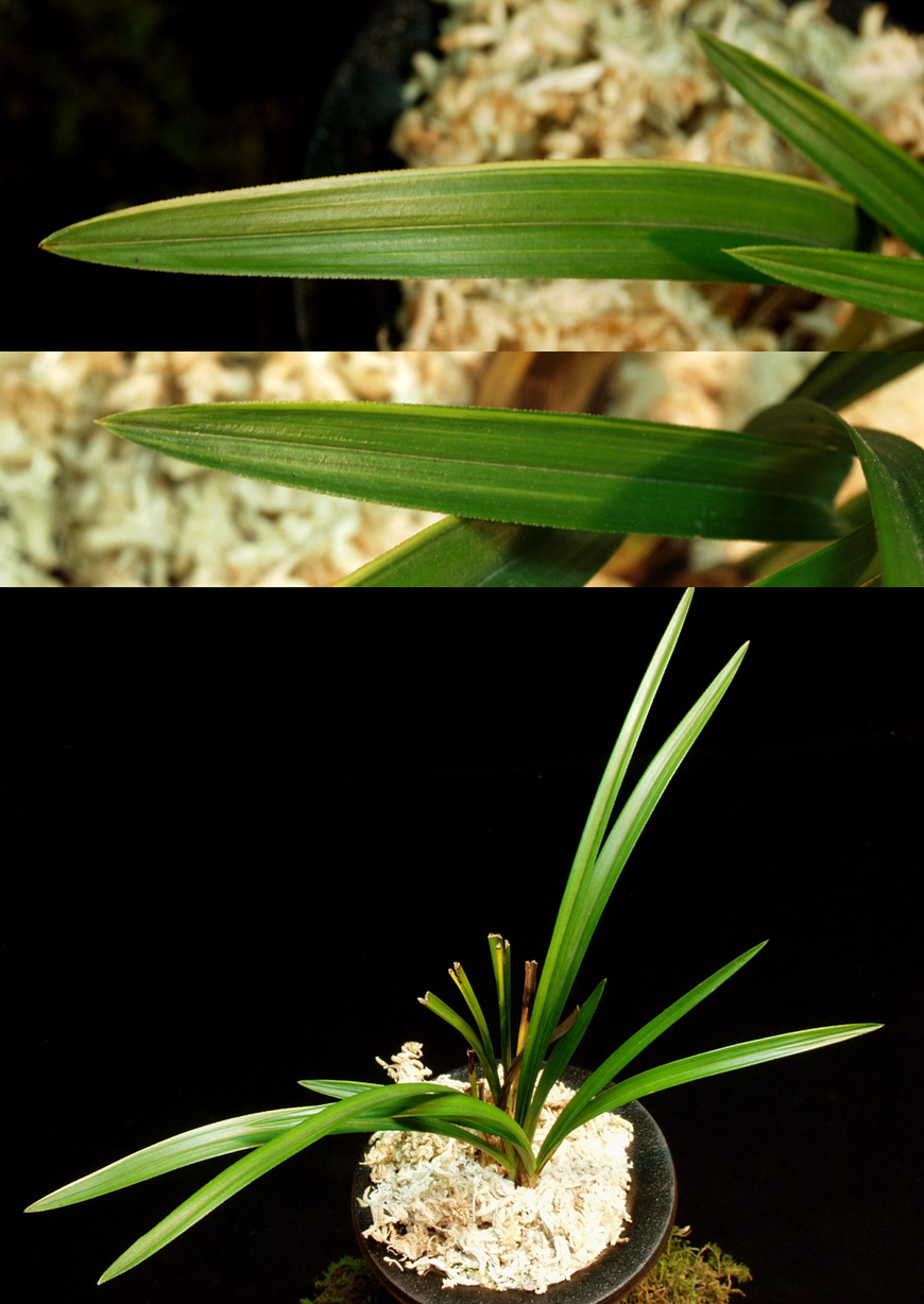 ������ ū������ �� �� �ֽ��ϴ�.