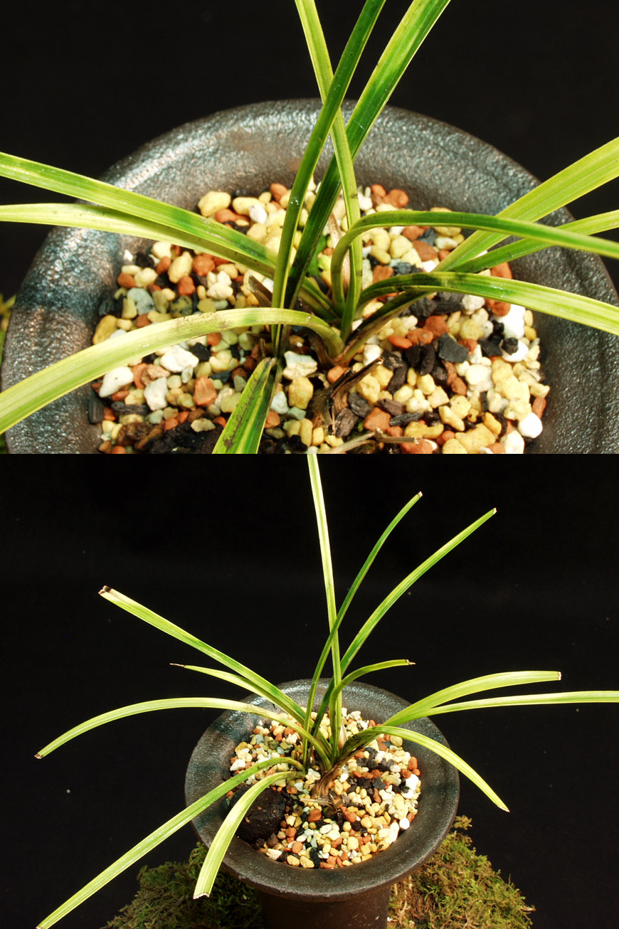 ������ ū������ �� �� �ֽ��ϴ�.