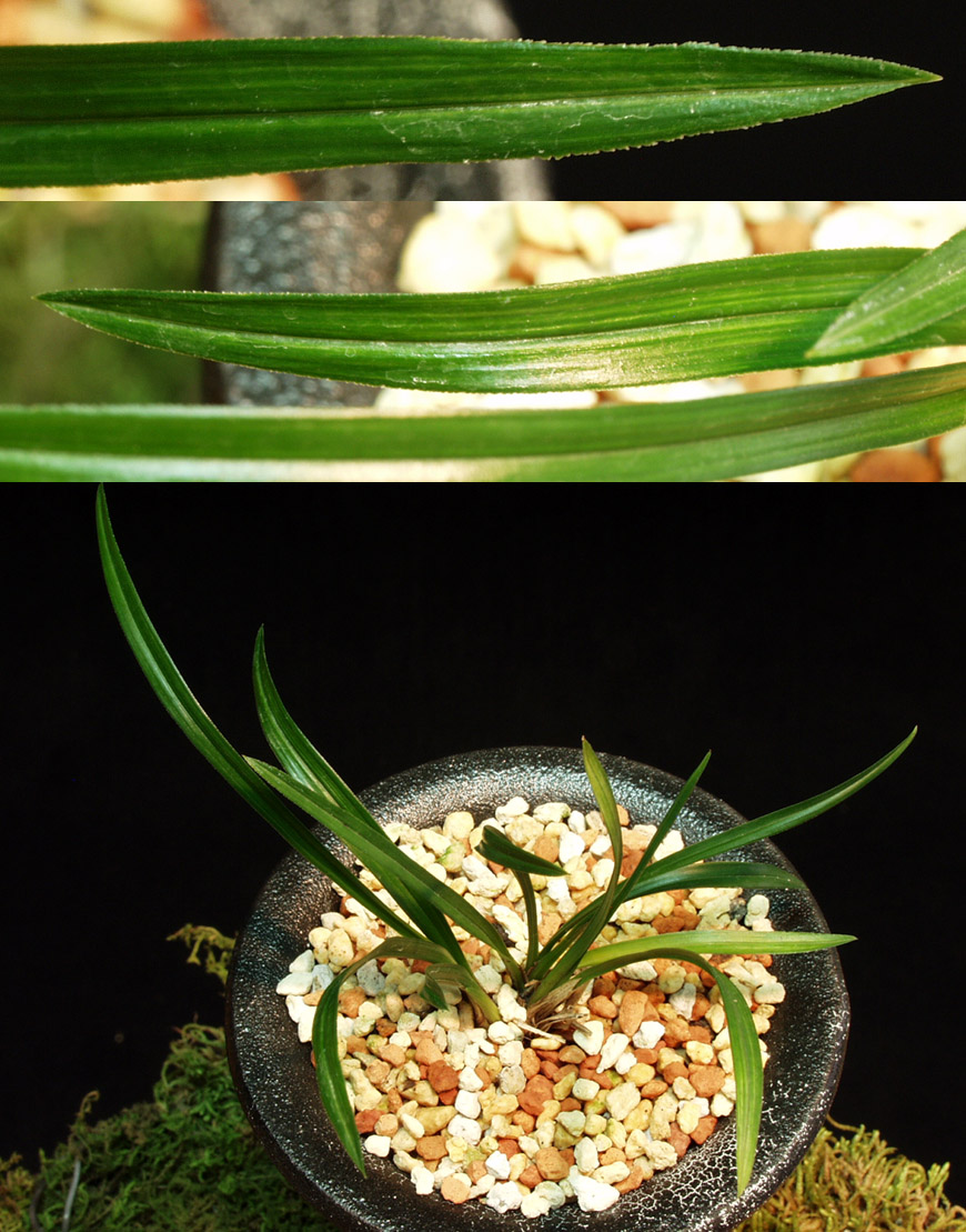 ������ ū������ �� �� �ֽ��ϴ�.