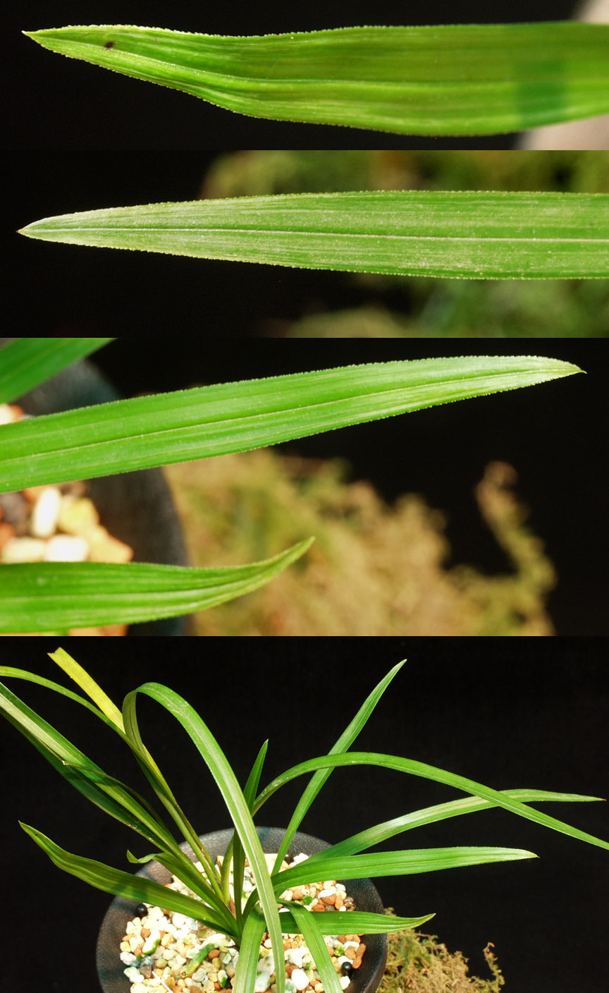 ������ ū������ �� �� �ֽ��ϴ�.