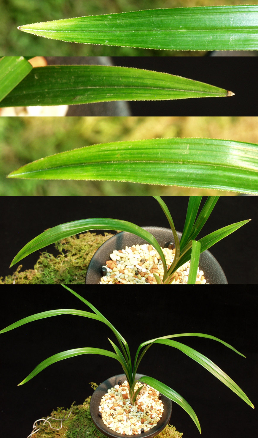 ������ ū������ �� �� �ֽ��ϴ�.