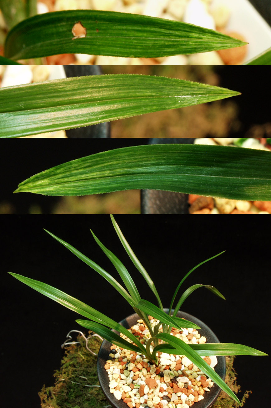 ������ ū������ �� �� �ֽ��ϴ�.