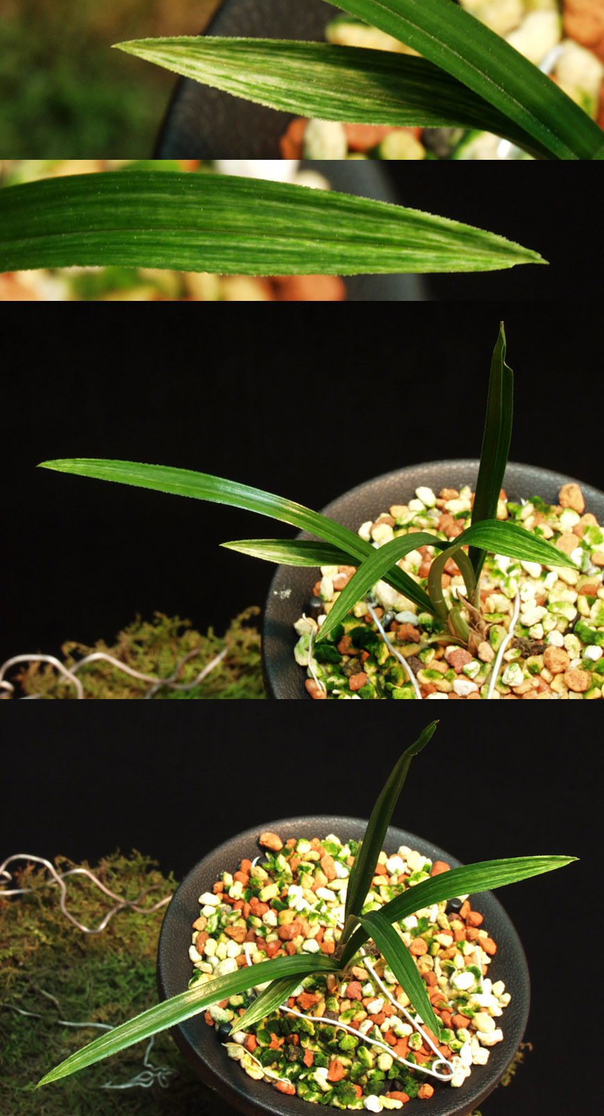 ������ ū������ �� �� �ֽ��ϴ�.