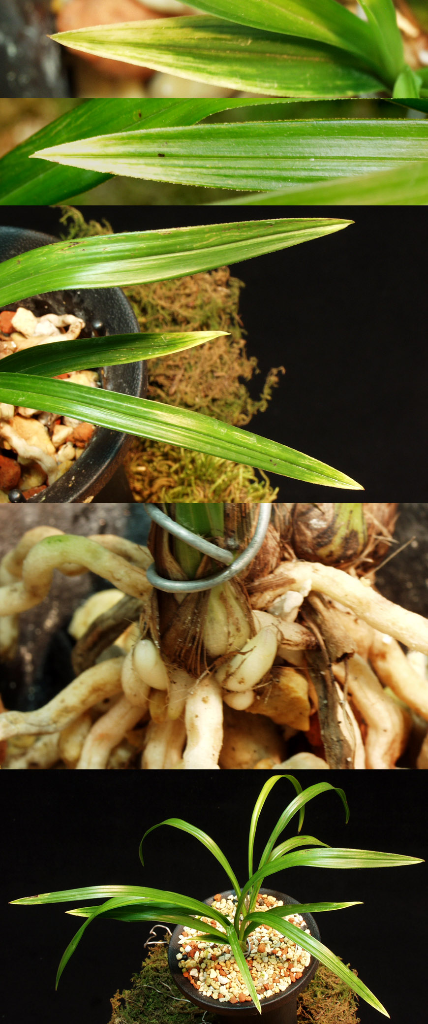 ������ ū������ �� �� �ֽ��ϴ�.