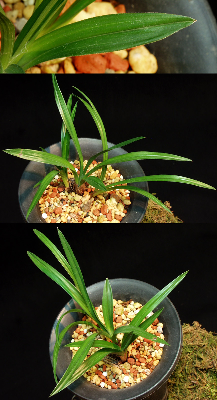 ������ ū������ �� �� �ֽ��ϴ�.