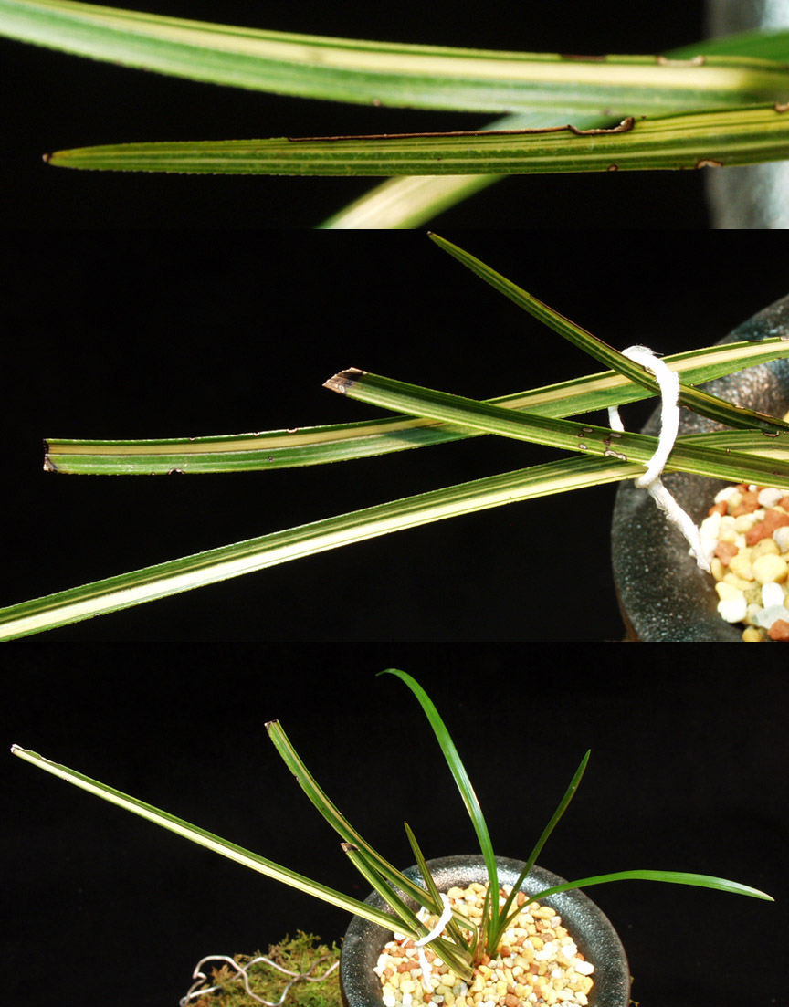 ������ ū������ �� �� �ֽ��ϴ�.