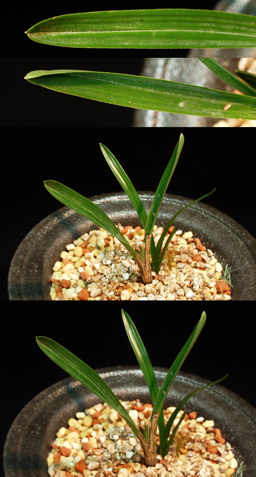 ������ ū������ �� �� �ֽ��ϴ�.