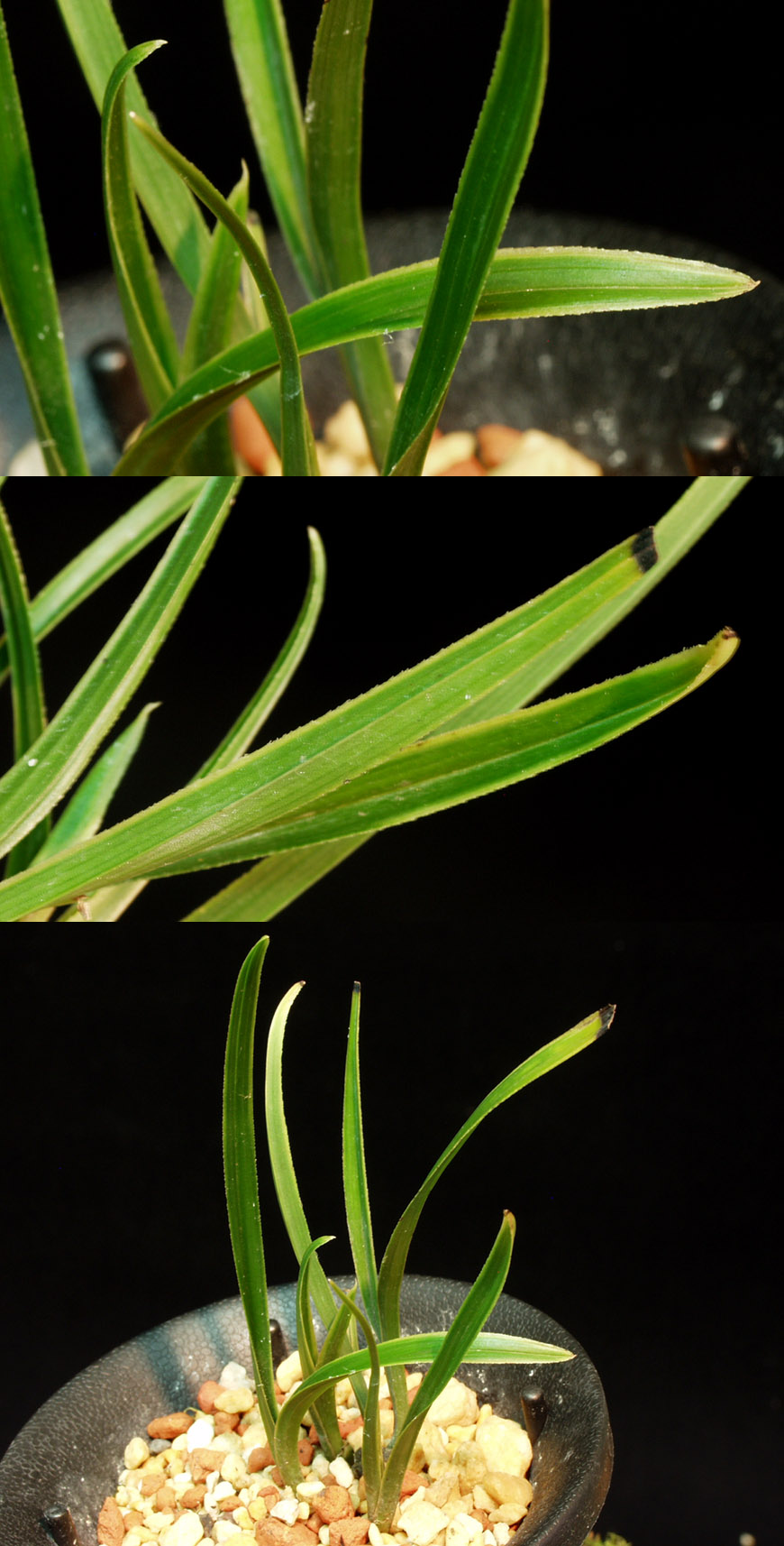 ������ ū������ �� �� �ֽ��ϴ�.