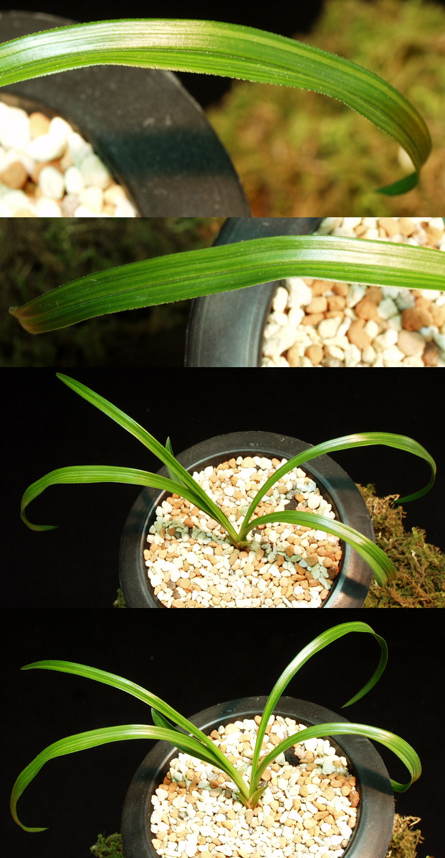 ������ ū������ �� �� �ֽ��ϴ�.