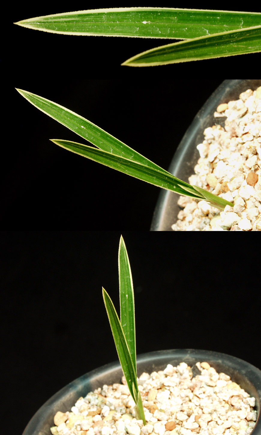 ������ ū������ �� �� �ֽ��ϴ�.