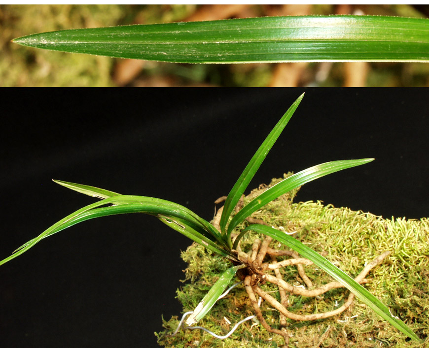 ������ ū������ �� �� �ֽ��ϴ�.