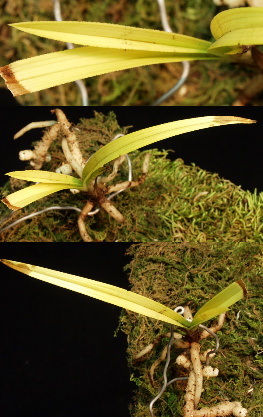 ������ ū������ �� �� �ֽ��ϴ�.