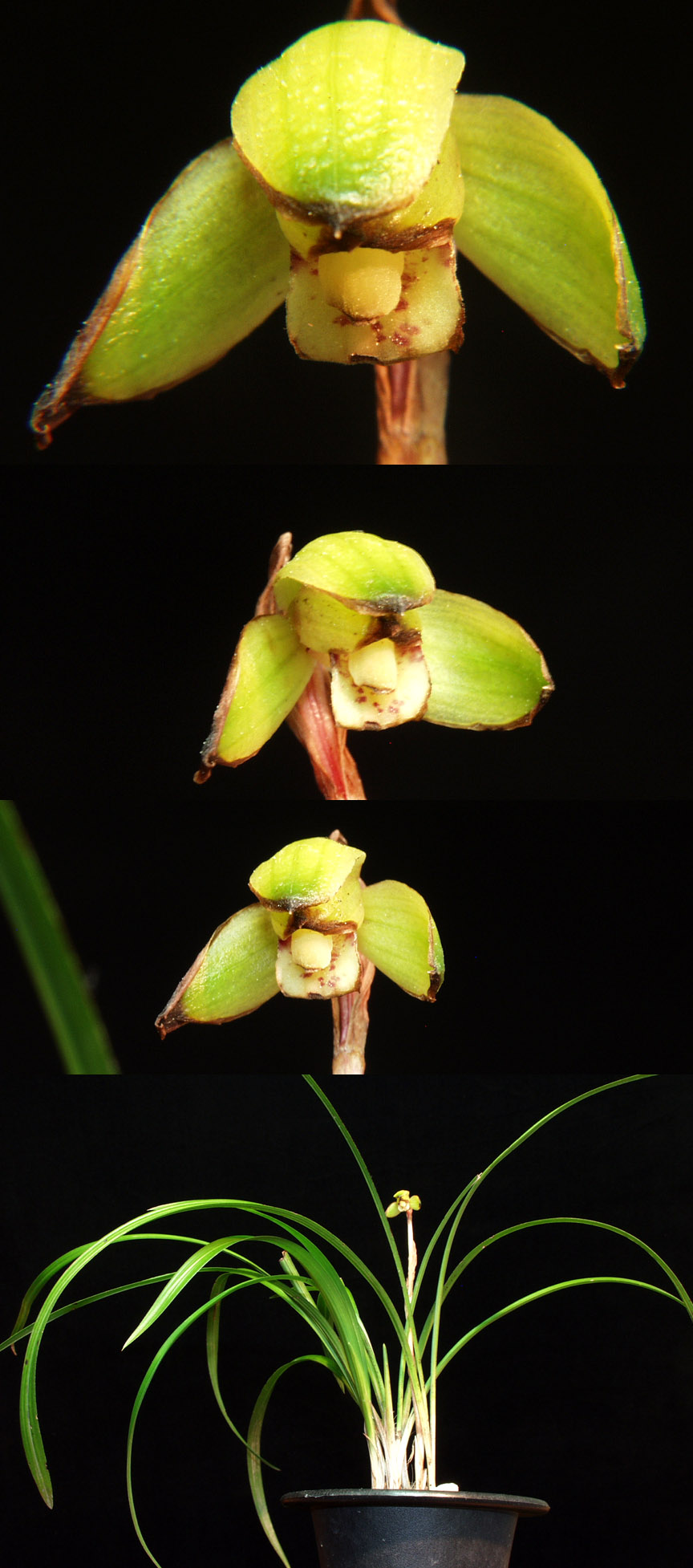 ������ ū������ �� �� �ֽ��ϴ�.