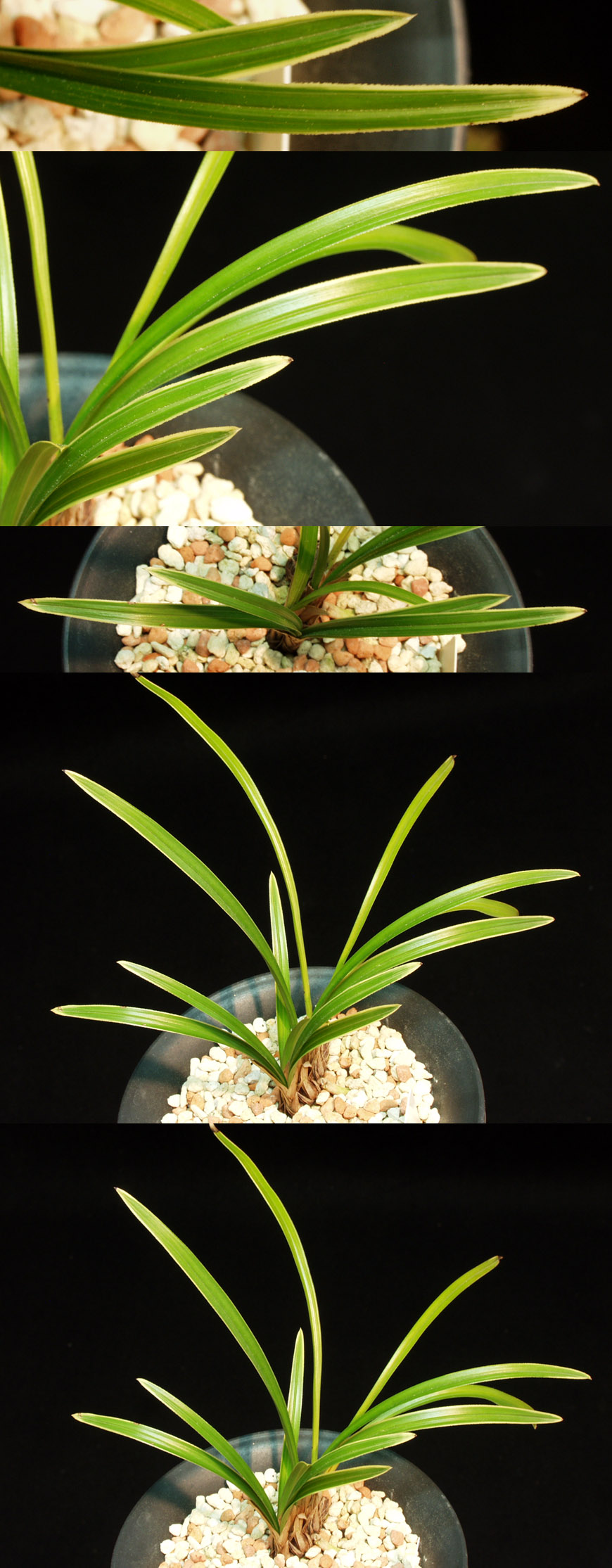 ������ ū������ �� �� �ֽ��ϴ�.