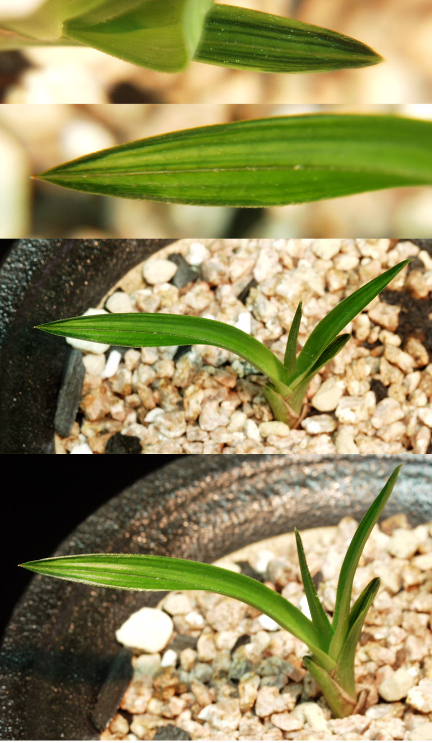 ������ ū������ �� �� �ֽ��ϴ�.