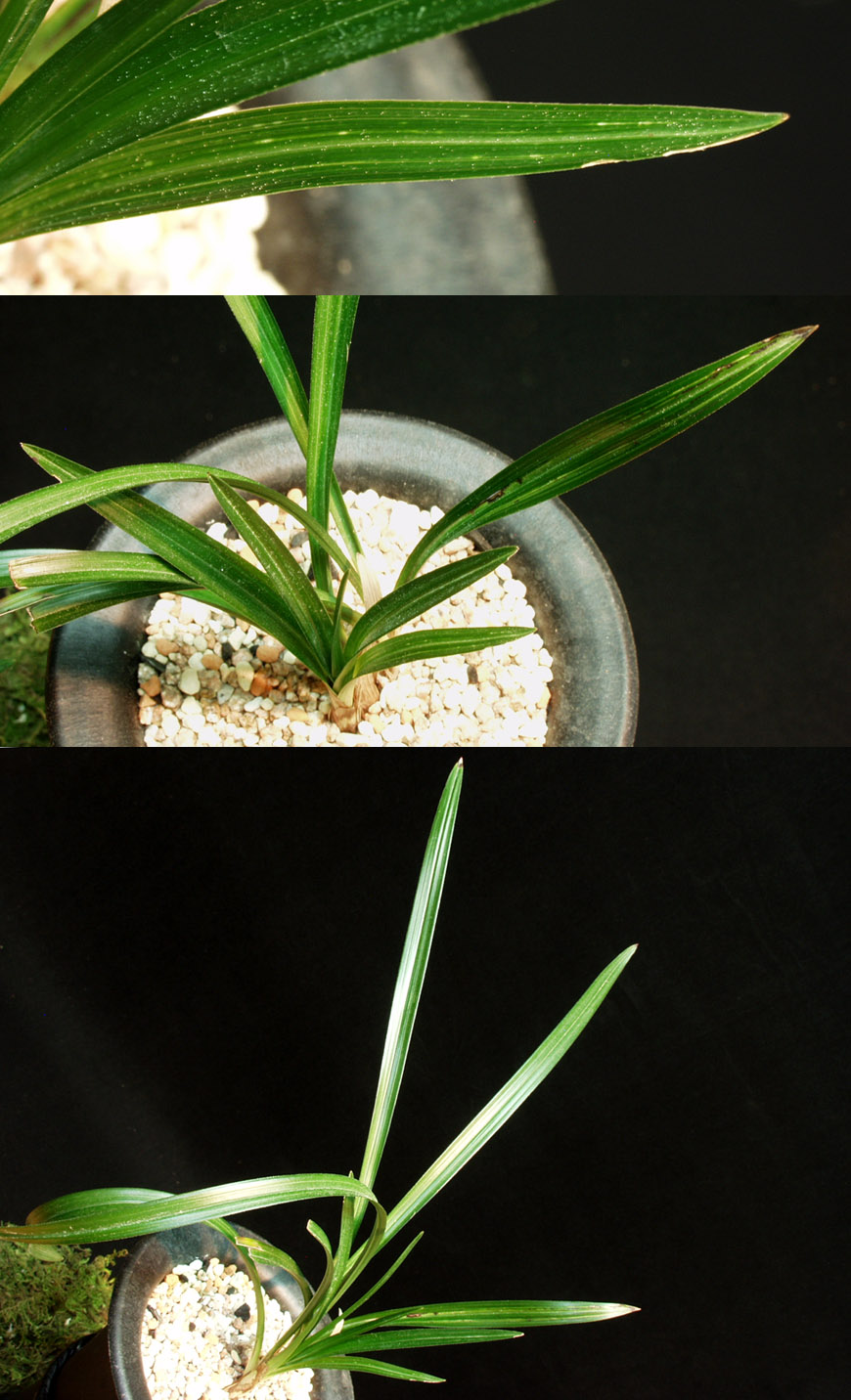 ������ ū������ �� �� �ֽ��ϴ�.