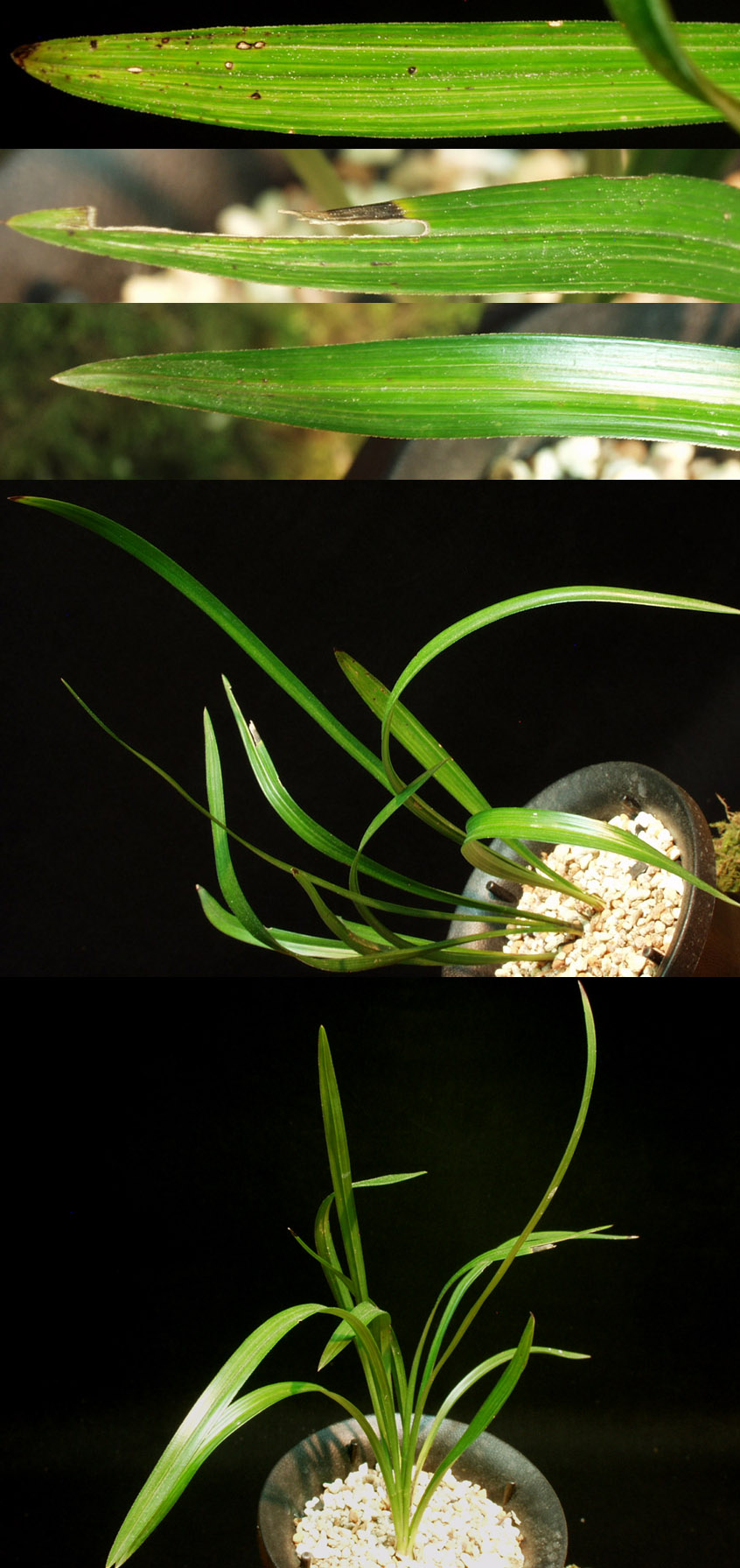 ������ ū������ �� �� �ֽ��ϴ�.