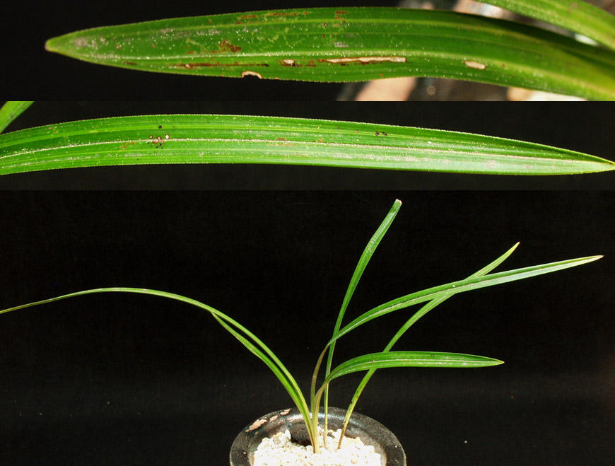 ������ ū������ �� �� �ֽ��ϴ�.