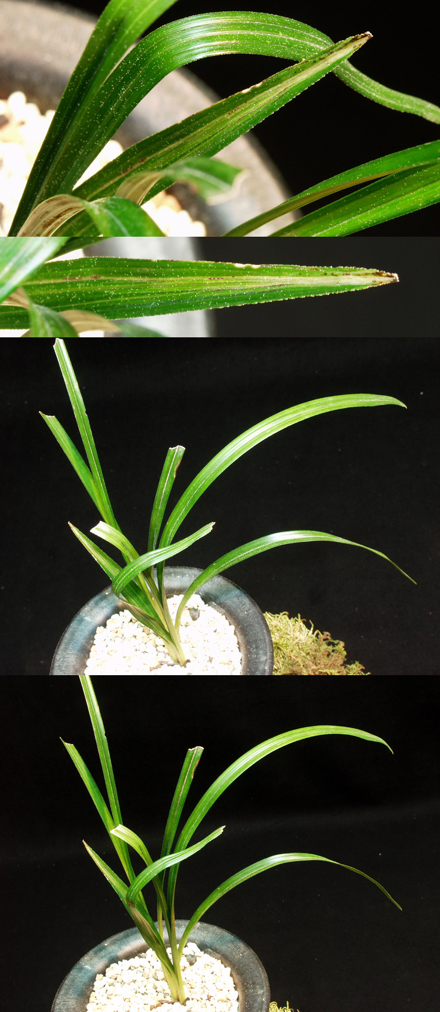 ������ ū������ �� �� �ֽ��ϴ�.