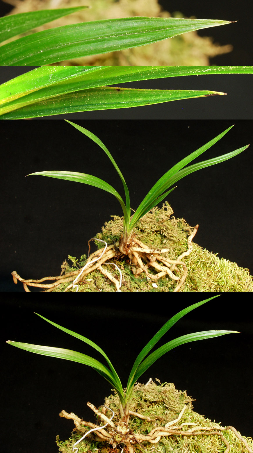 ������ ū������ �� �� �ֽ��ϴ�.