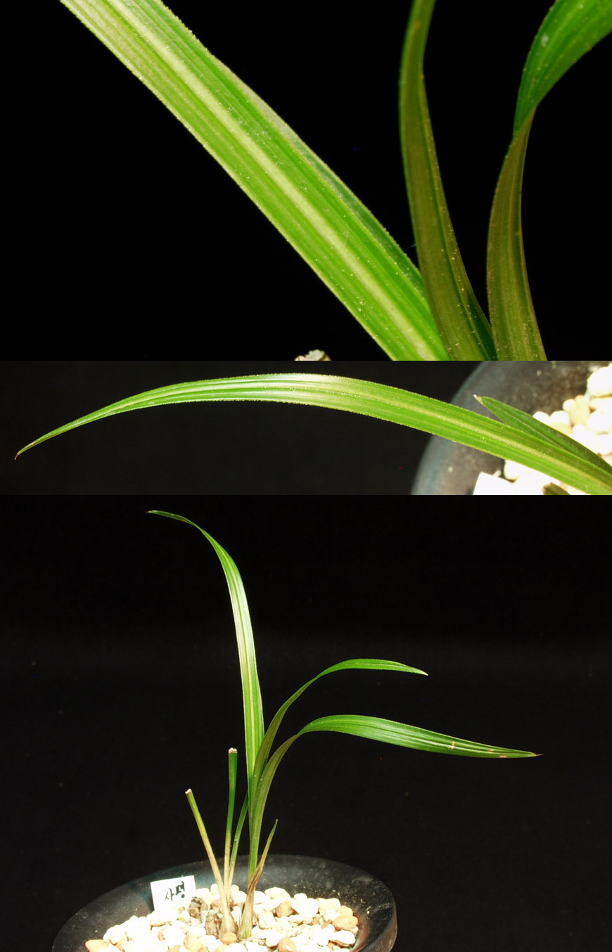 ������ ū������ �� �� �ֽ��ϴ�.