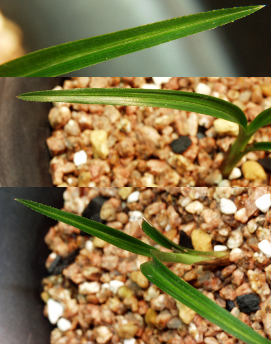 ������ ū������ �� �� �ֽ��ϴ�.