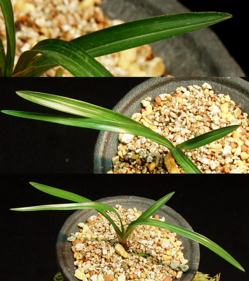 ������ ū������ �� �� �ֽ��ϴ�.