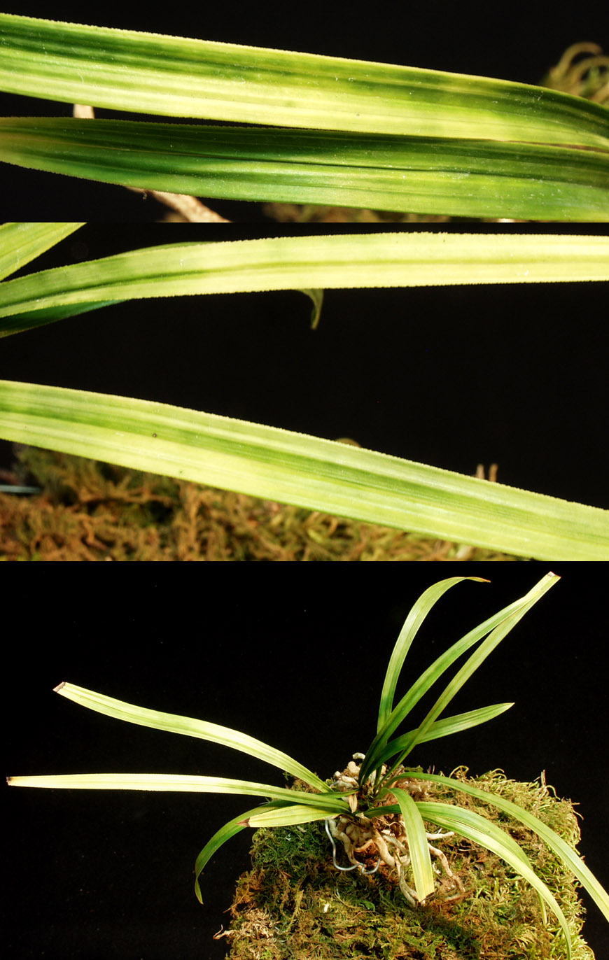 ������ ū������ �� �� �ֽ��ϴ�.