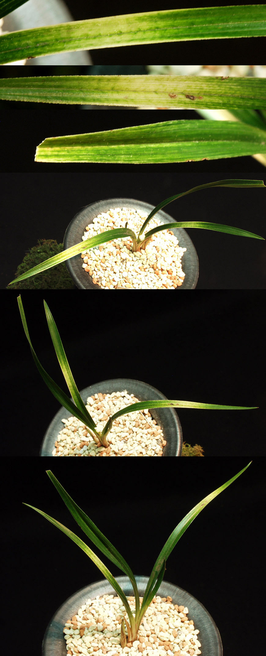 ������ ū������ �� �� �ֽ��ϴ�.