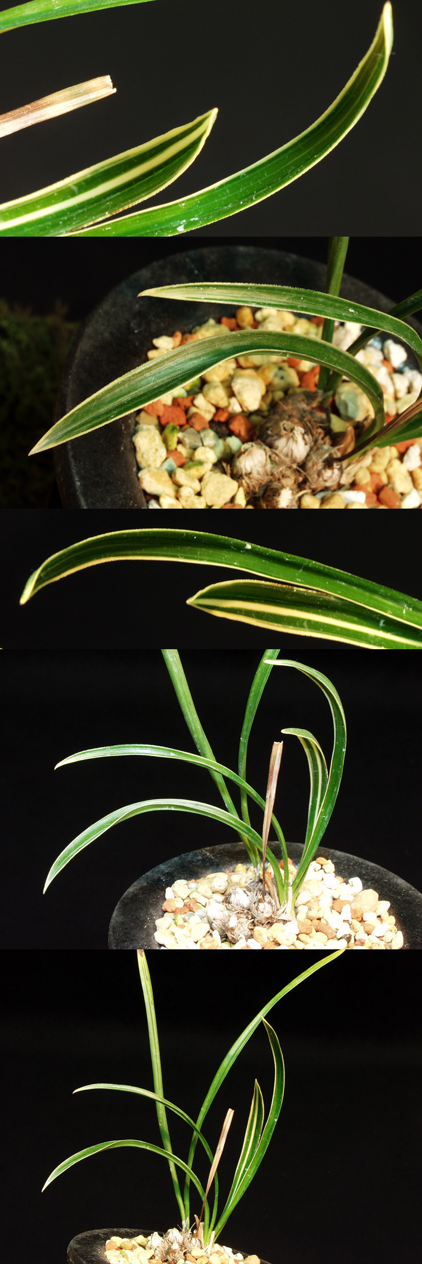 ������ ū������ �� �� �ֽ��ϴ�.