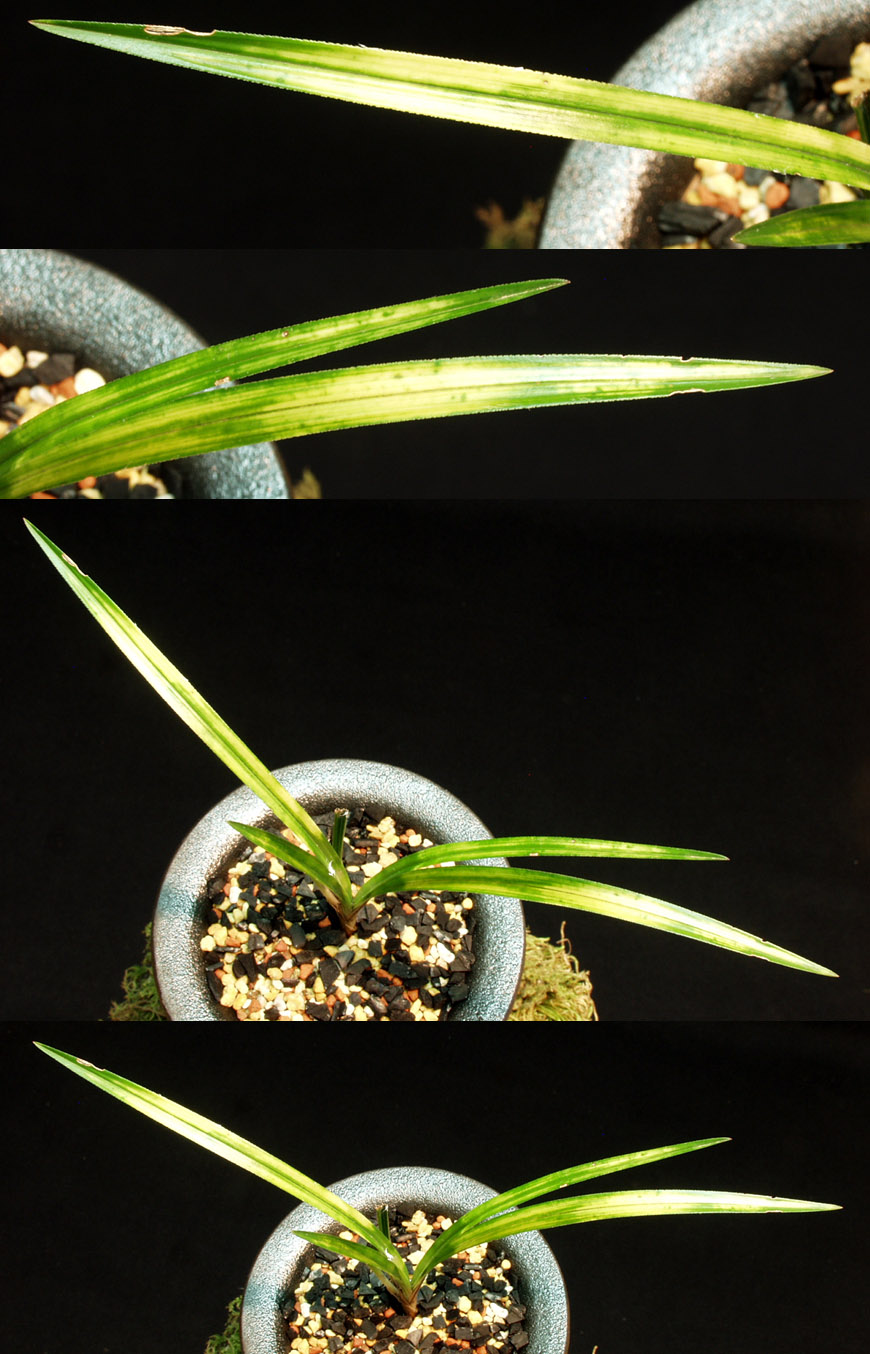 ������ ū������ �� �� �ֽ��ϴ�.