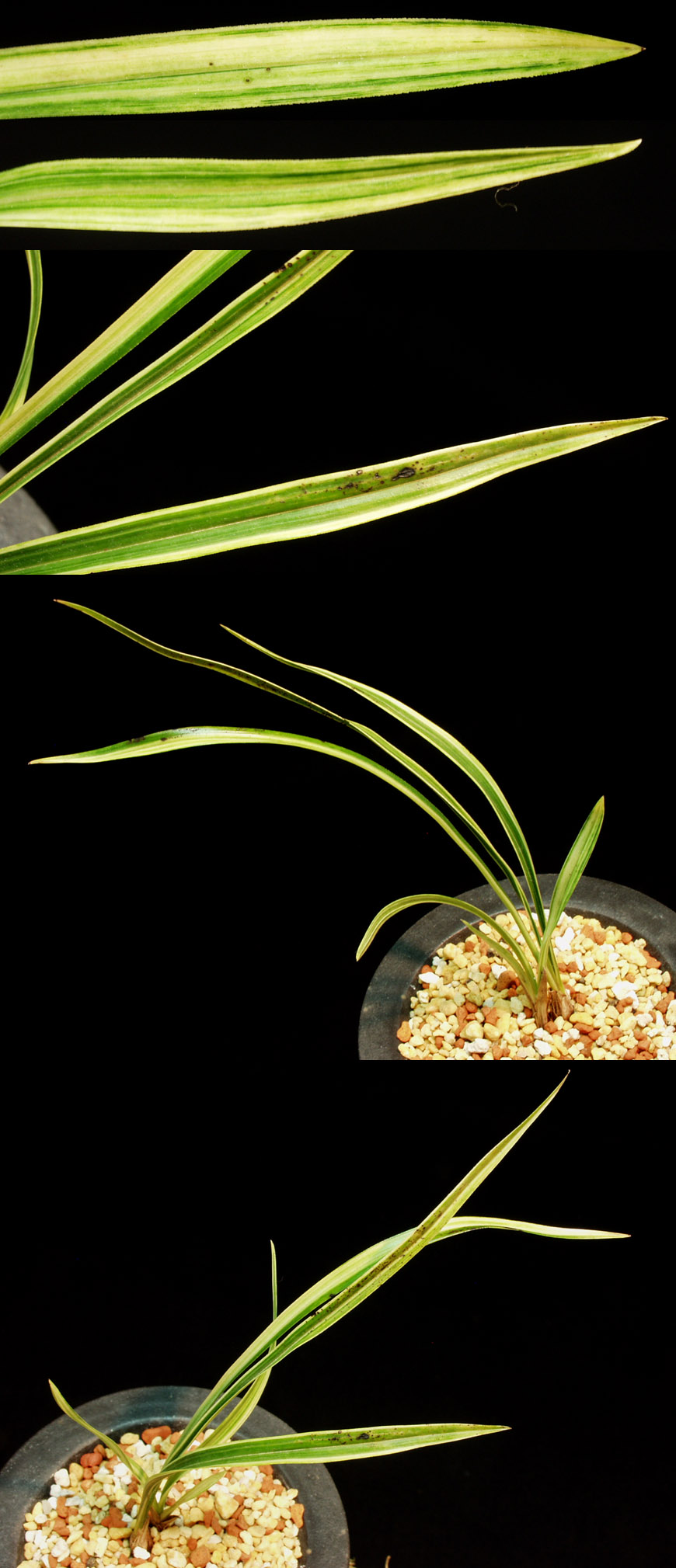 ������ ū������ �� �� �ֽ��ϴ�.