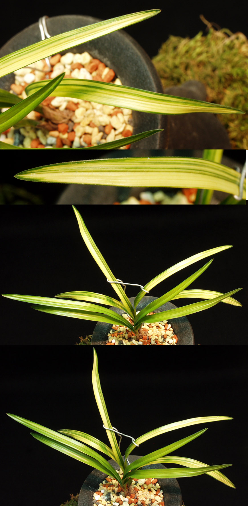 ������ ū������ �� �� �ֽ��ϴ�.