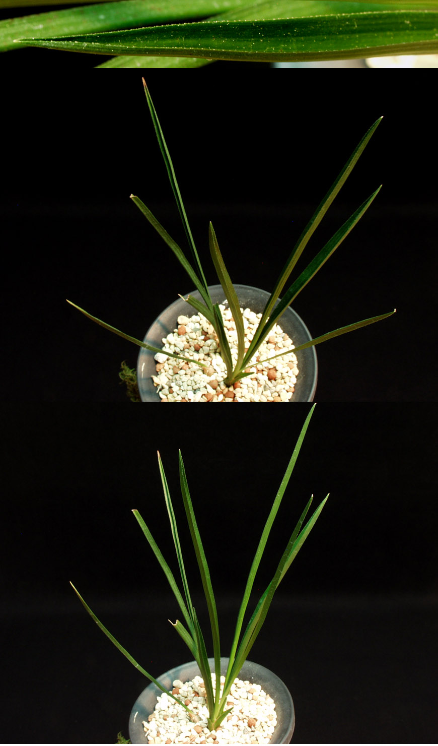 ������ ū������ �� �� �ֽ��ϴ�.