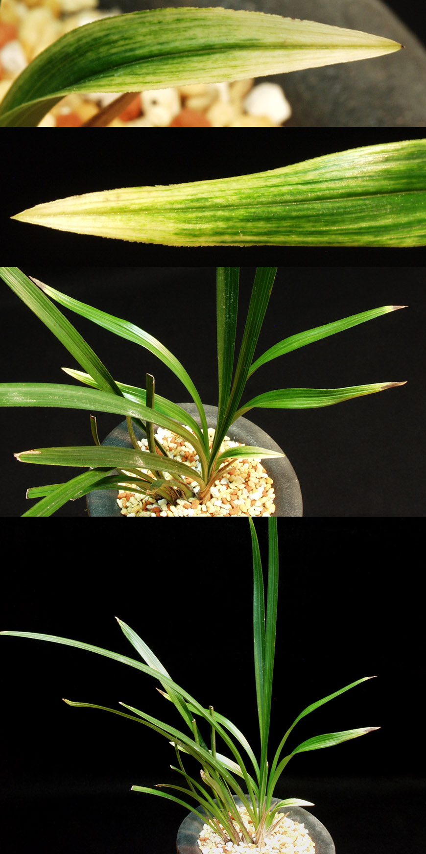 ������ ū������ �� �� �ֽ��ϴ�.