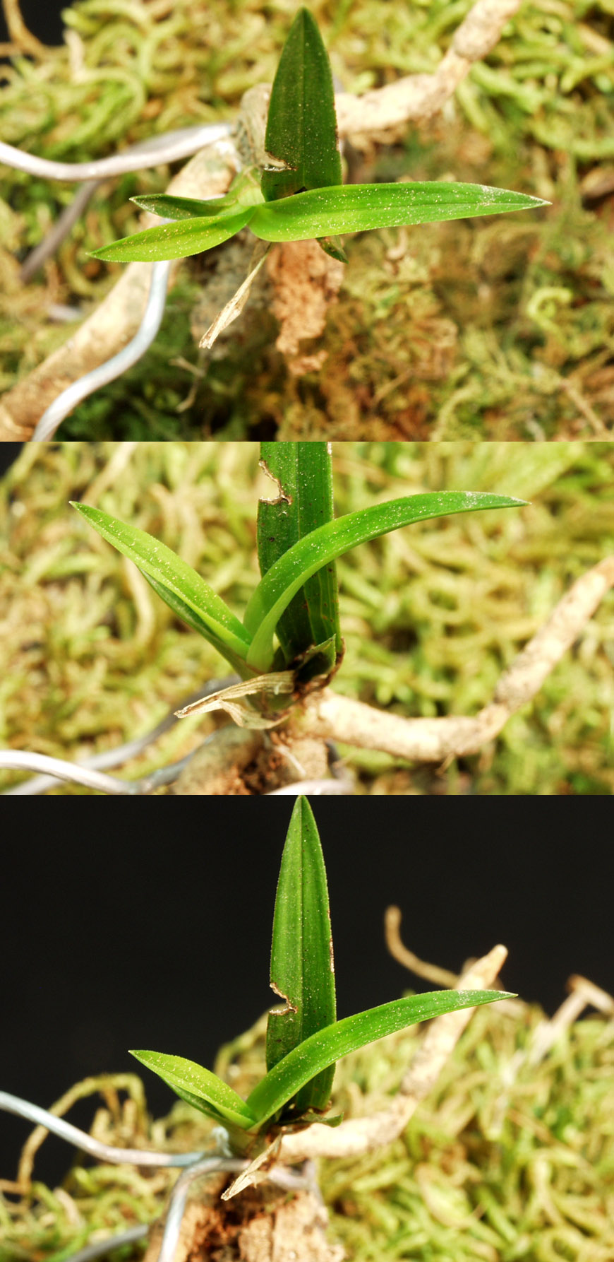 ������ ū������ �� �� �ֽ��ϴ�.