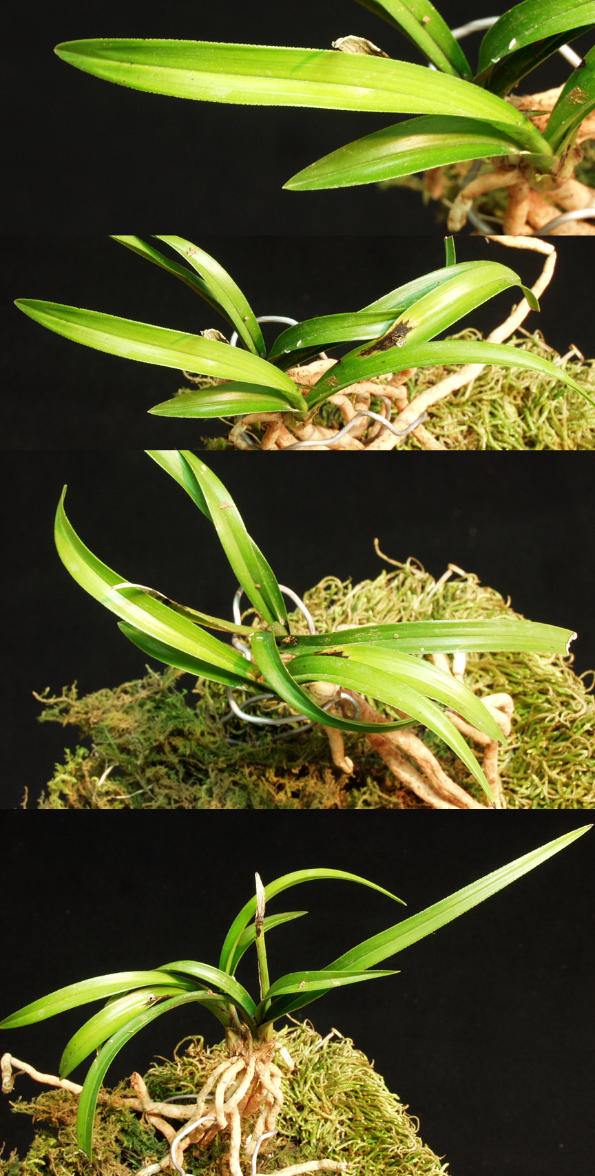 ������ ū������ �� �� �ֽ��ϴ�.