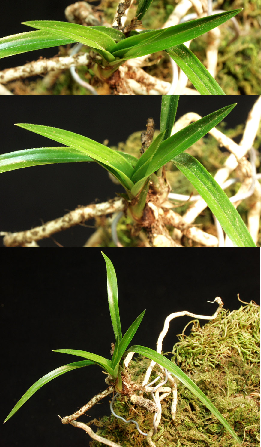 ������ ū������ �� �� �ֽ��ϴ�.