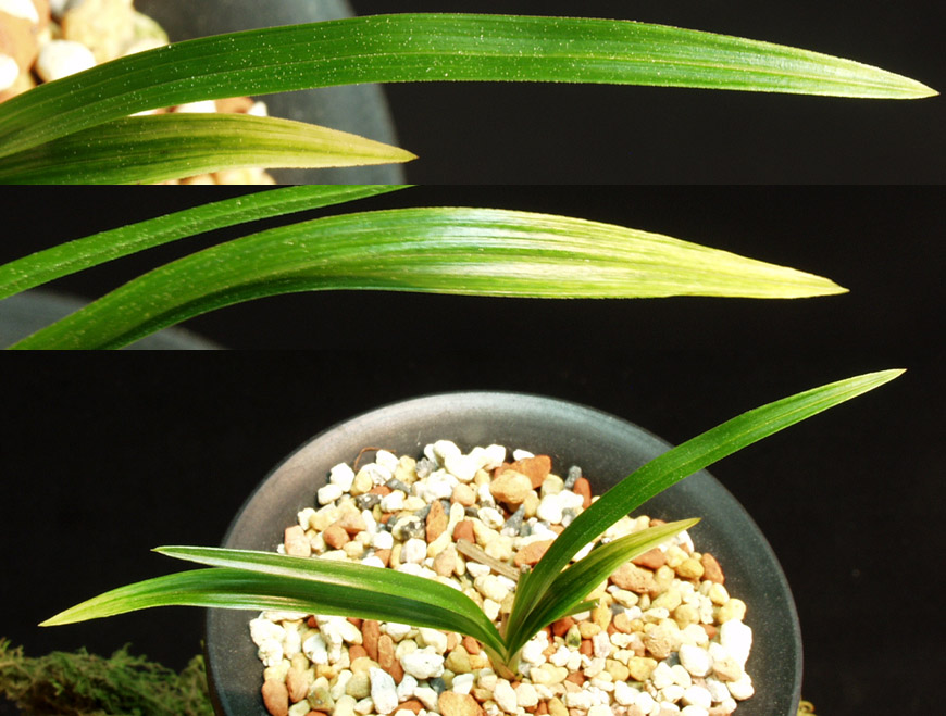 ������ ū������ �� �� �ֽ��ϴ�.