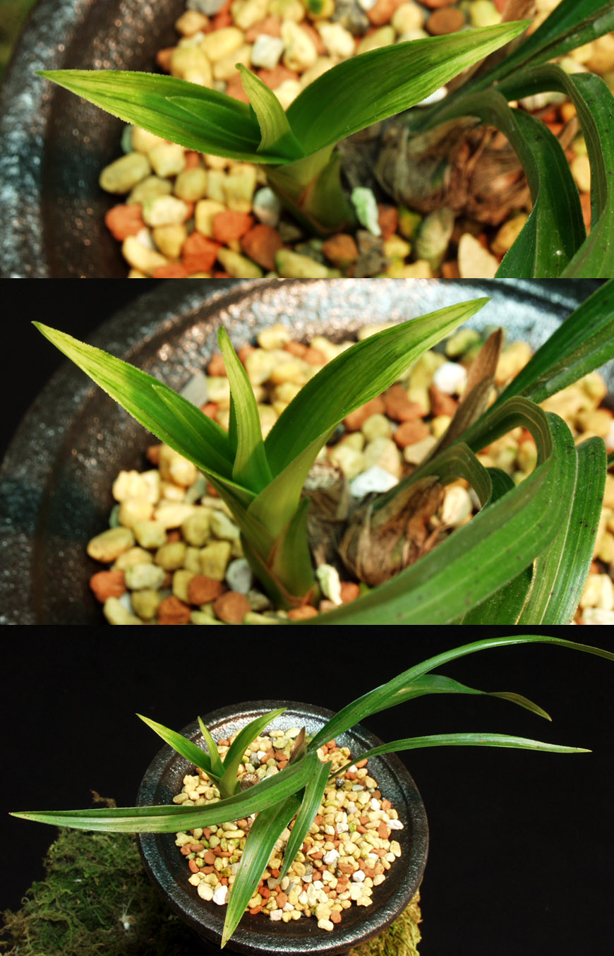 ������ ū������ �� �� �ֽ��ϴ�.