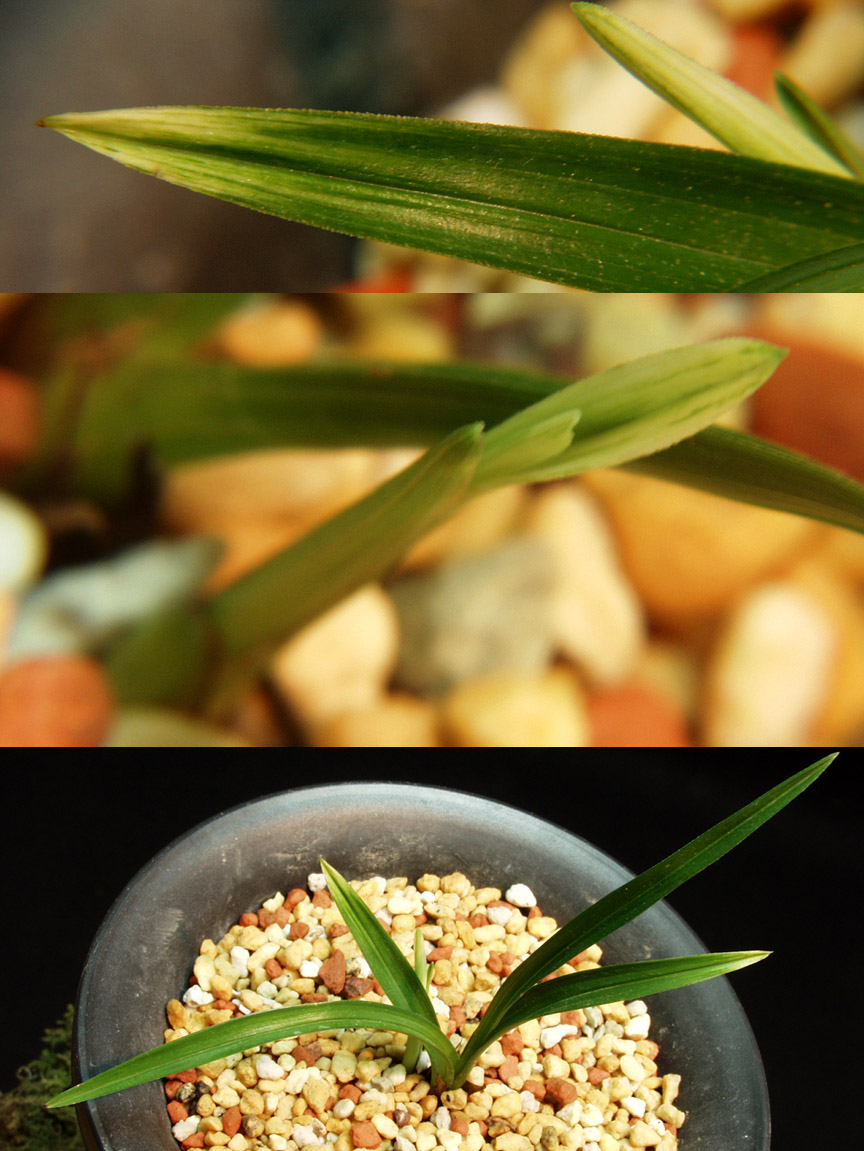 ������ ū������ �� �� �ֽ��ϴ�.