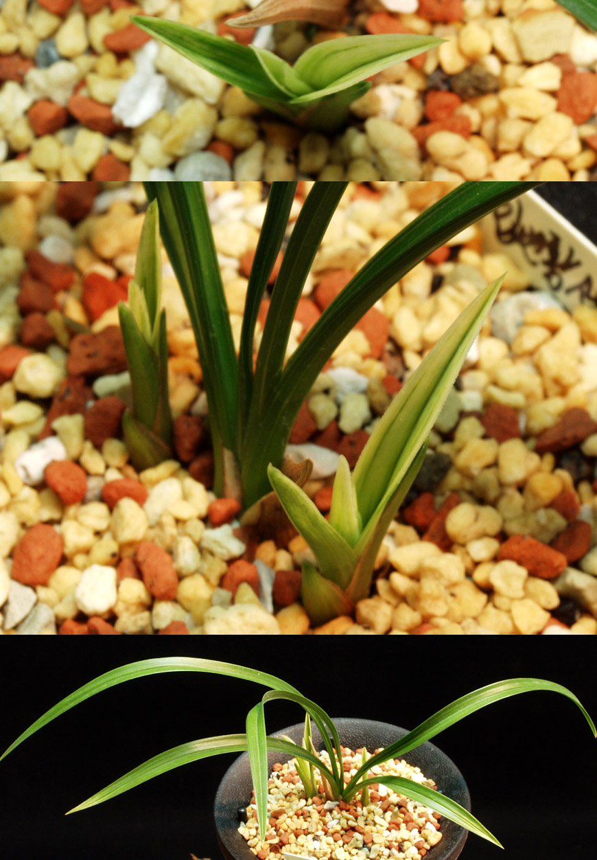 ������ ū������ �� �� �ֽ��ϴ�.